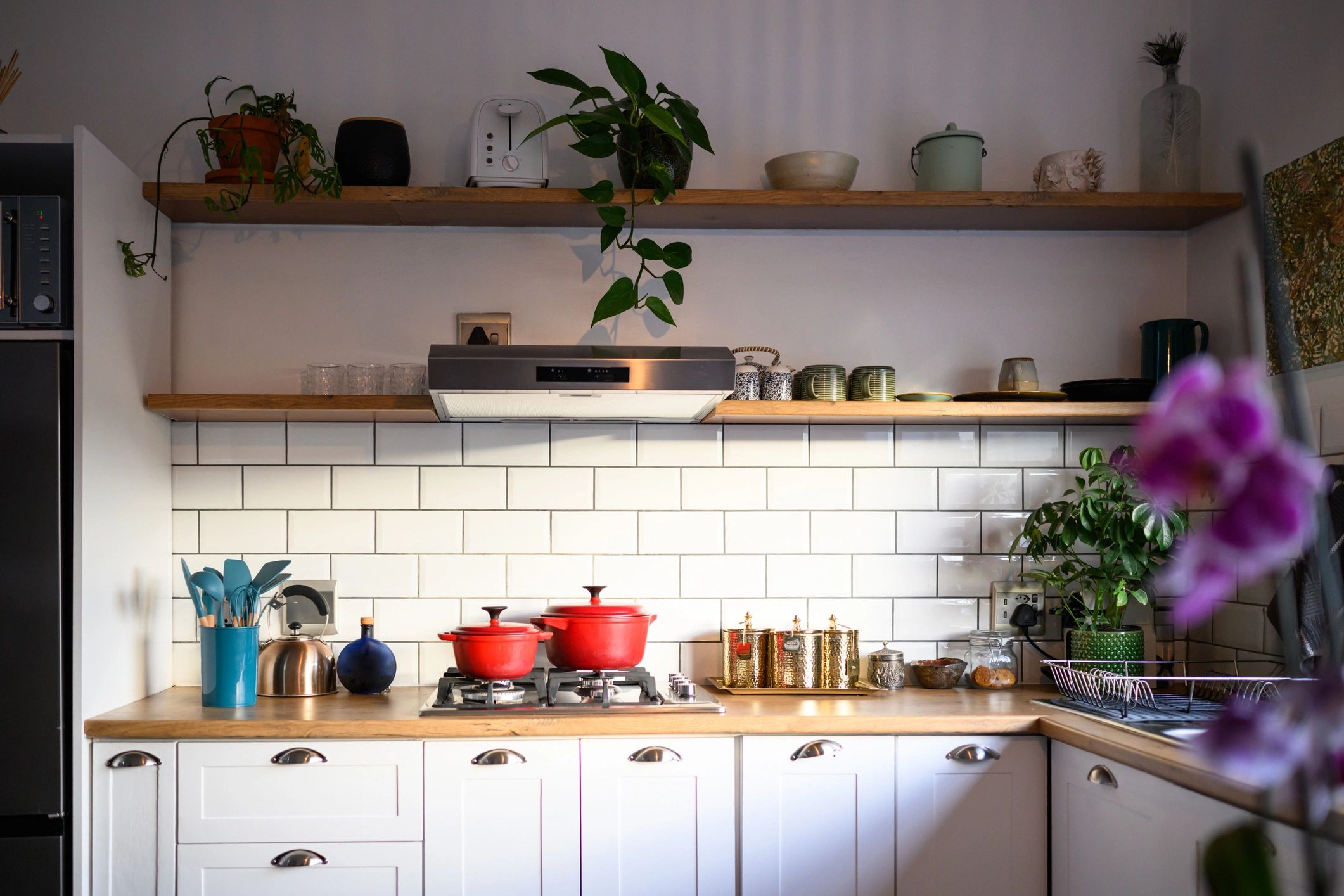 Bright modern kitchen with white cabinetry